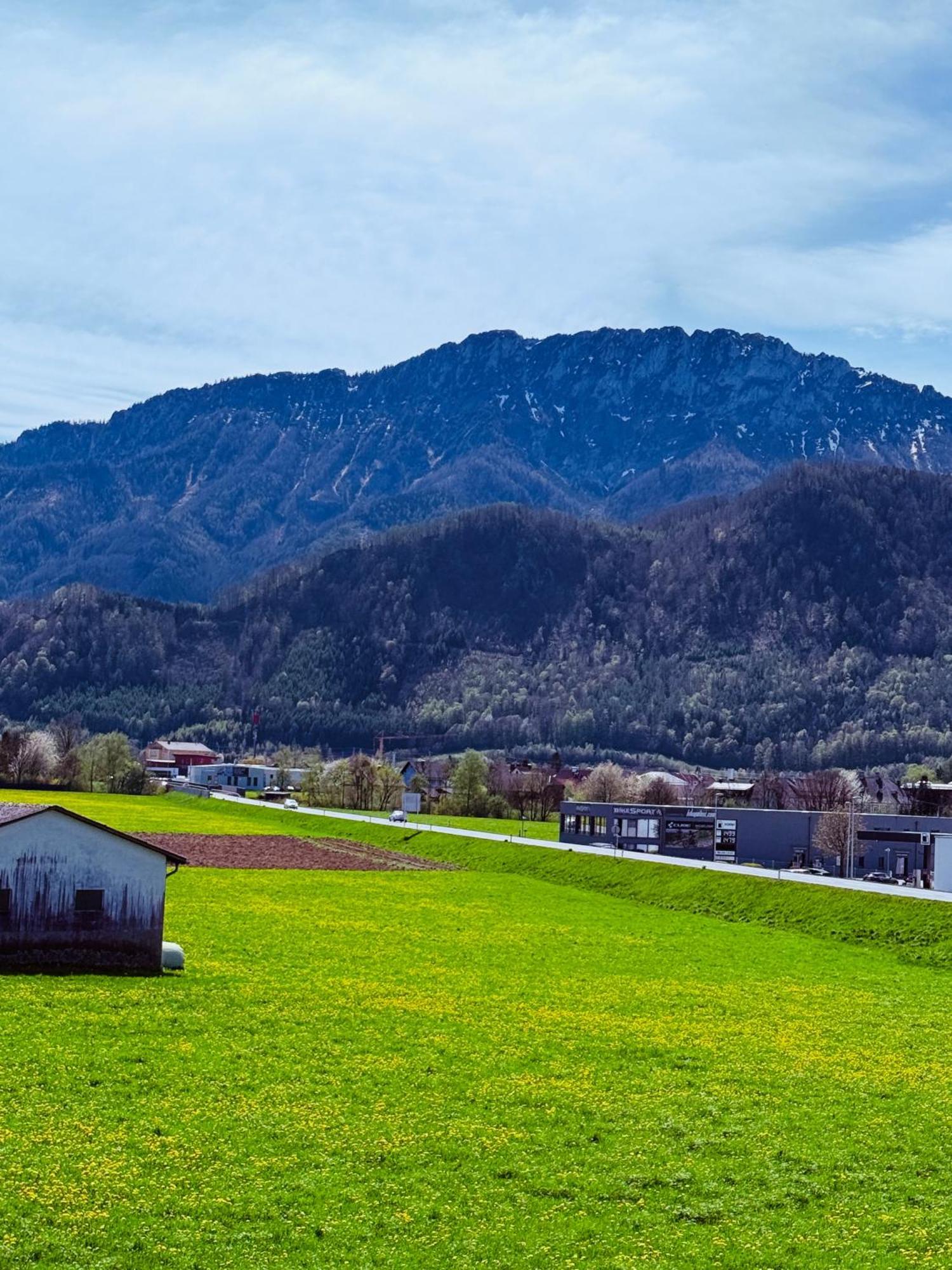 Zentrale Wohnung Mit Alpenblick Micheldorf in Oberösterreich Exterior foto